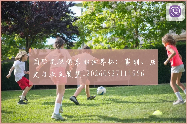 国际足联俱乐部世界杯：赛制、历史与未来展望_20260527111956